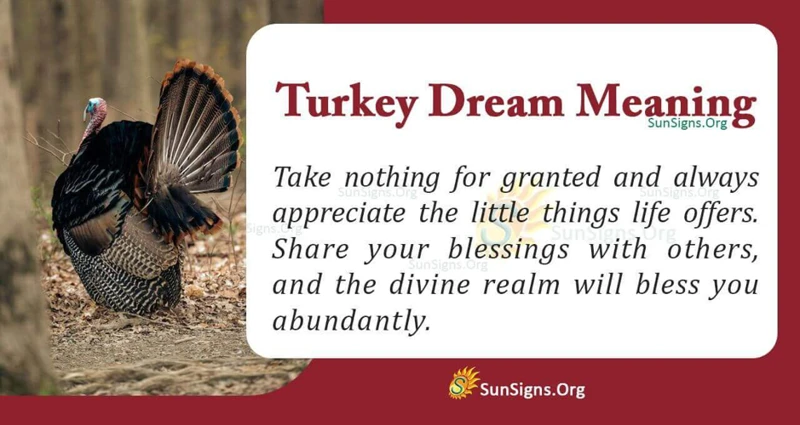 What Does It Mean To Dream Of Turkey?