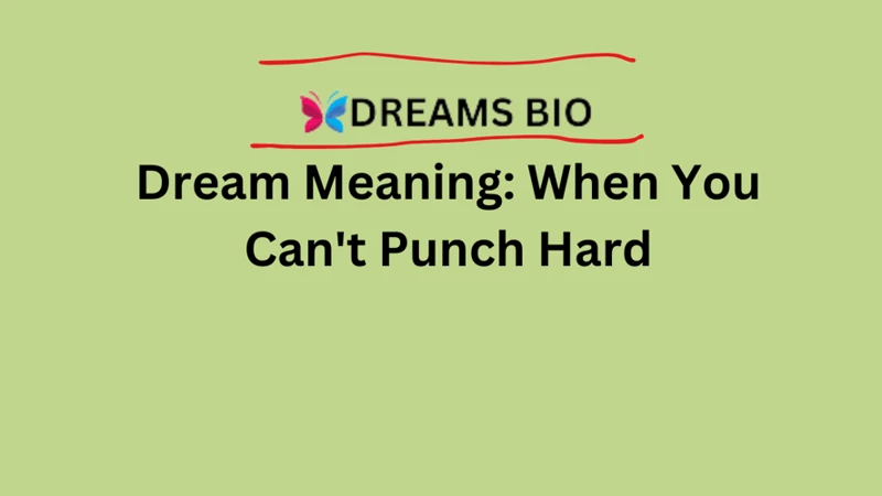 Why Can'T You Punch In Dreams?