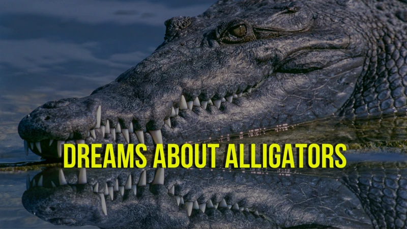 Why Do Alligator Dreams Occur?