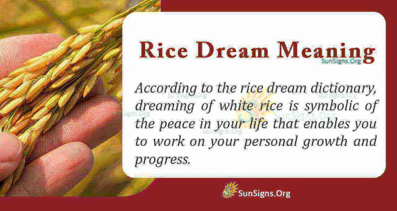 Why Do We Dream About Rice?